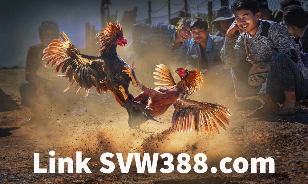SVW388.com trang đăng nhập SV388 không bị chặn mới nhất